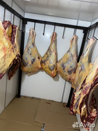 Мясо Оптом и в розницу