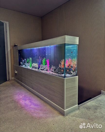 Чистка аквариума №1 в Саратове