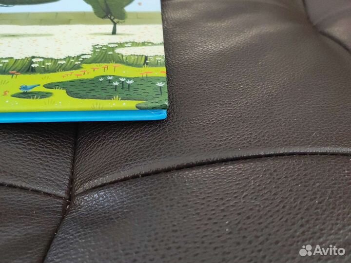 Питер Браун Удивительный сад