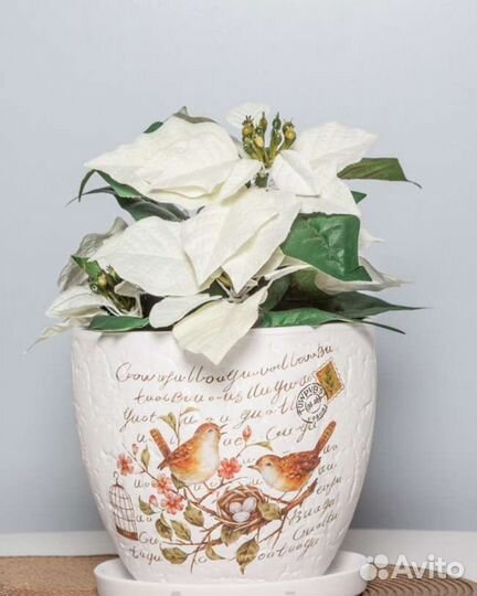 Горшки для цветов (керамика)