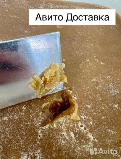 16 kg меда 2024 года Алтайский оптом