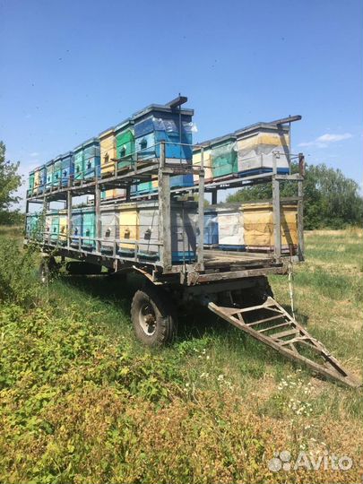 Телега с пчёлами и ульями