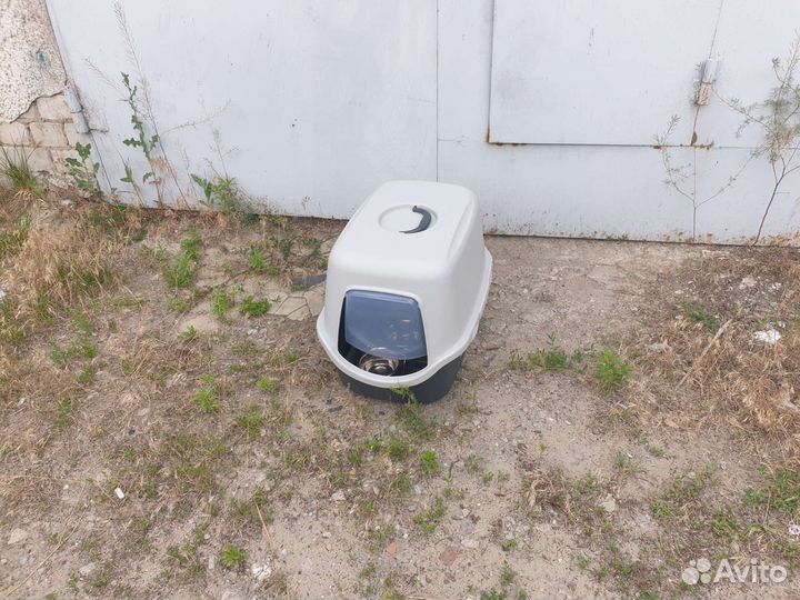 Кошачий туалет