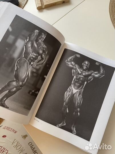 Энциклопедия бодибилдинга