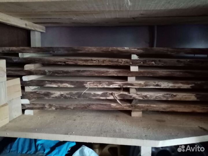 Сухая доска дуба