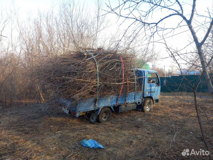 Вывоз строительного мусора/ Веток/хлама