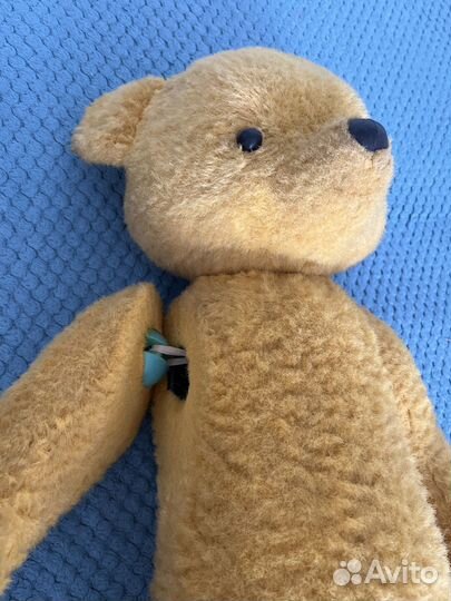 Медведи СССР