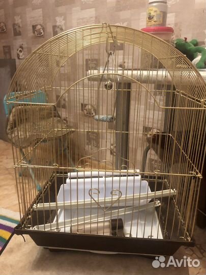 Клетка для попугая