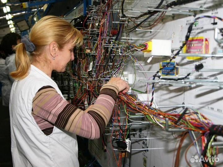 Вязальщик- Вахта, Городец