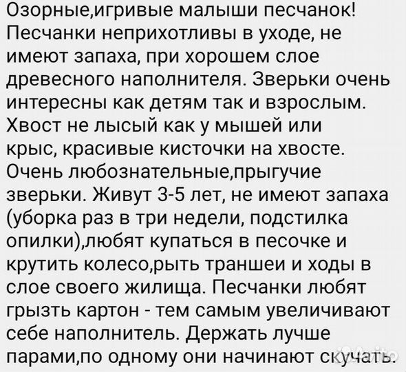 Песчанка