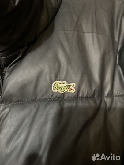 Пуховик lacoste