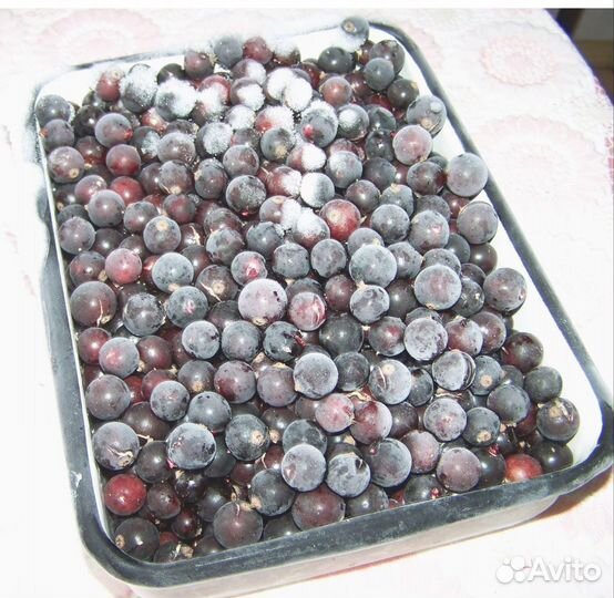 Вишня,смородина, малина замороженная садовая