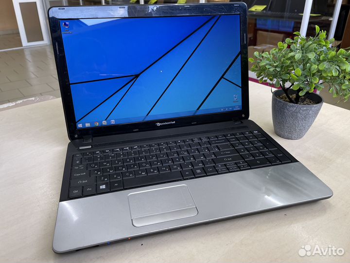 Бюджетный ноутбук Packard Bell