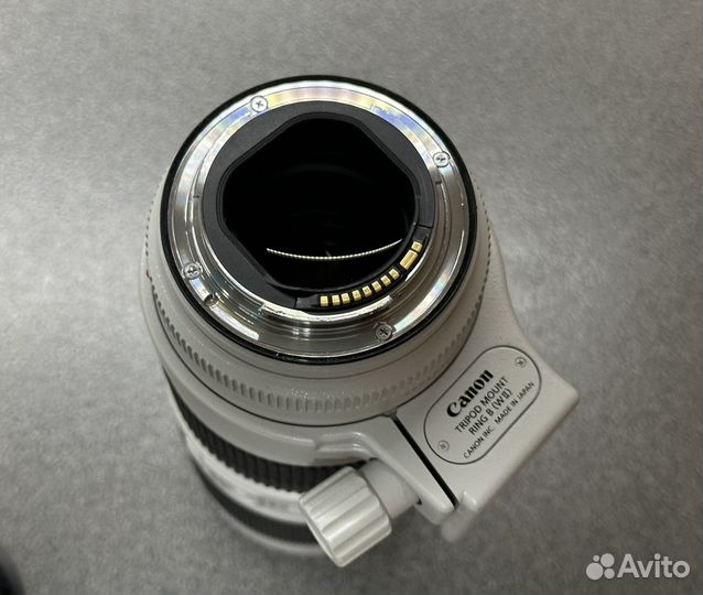 Canon EF 70-200mm f/2.8L IS III USM