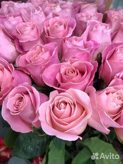 Цветы розы букет