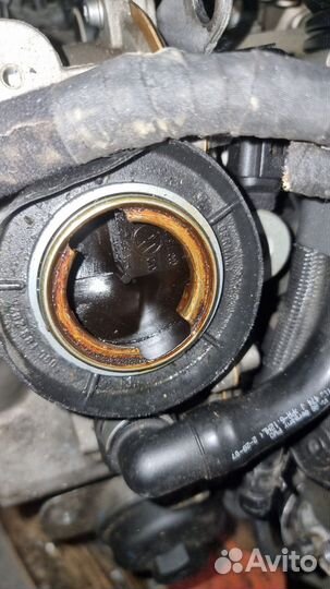 Двигатель BLG 1.4 TSI Контрактный двс