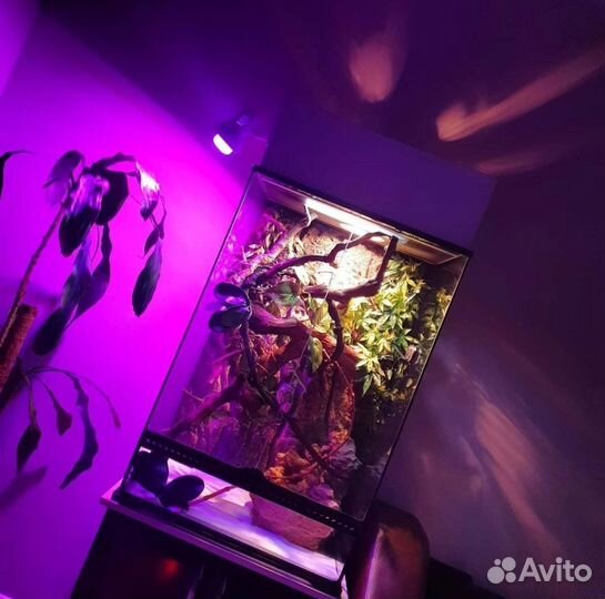 Террариум exo terra