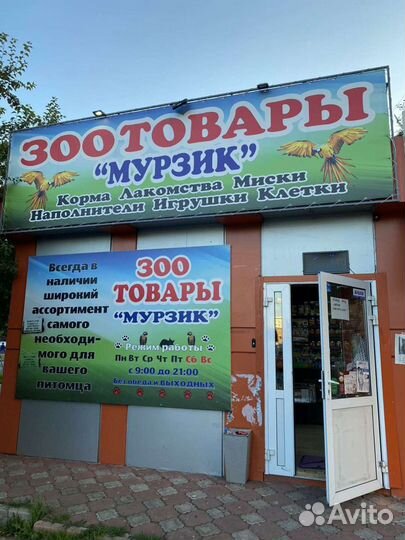 Продавец консультант Зоотоваров