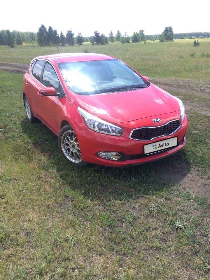 Kia Ceed: фото владельца