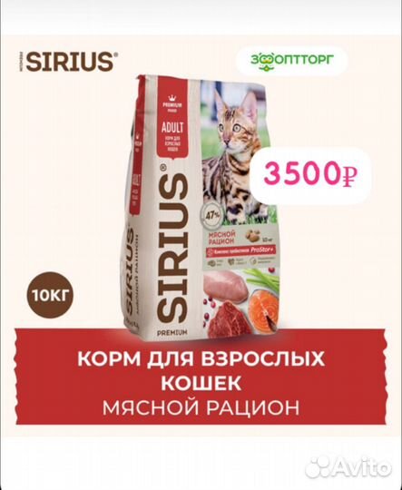 Корм для кошек