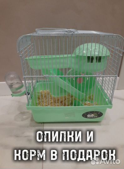 Джунгарский хомяк