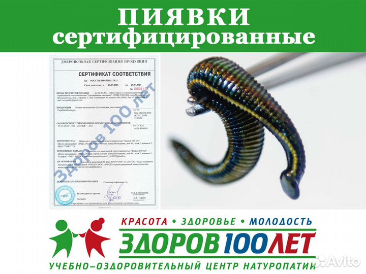 Пиявки сертифицированные доставка самовывоз