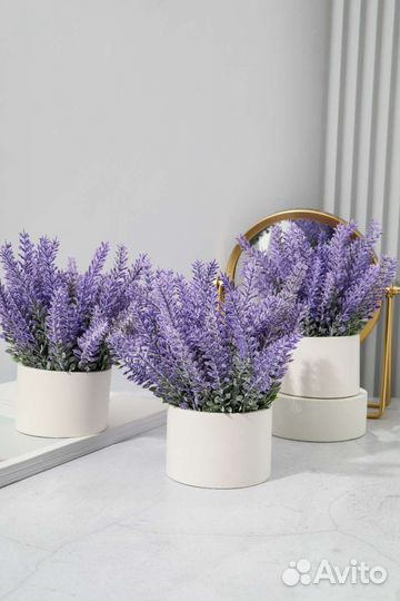 Искусственная лаванда в гипсовом горшке