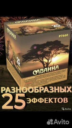 Салют фейерверк Саванна, Династия