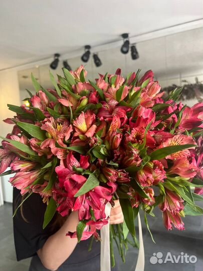 Букет из Альстромерий 25шт