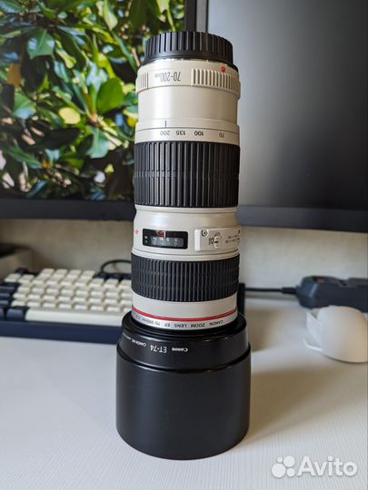 Объектив Canon EF 70-200mm f/4L USM