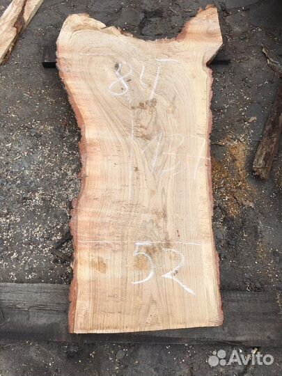 Спилы акации и дуба 1,10 диаметр