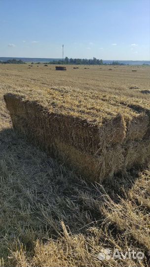 Солома ячменная в тюках