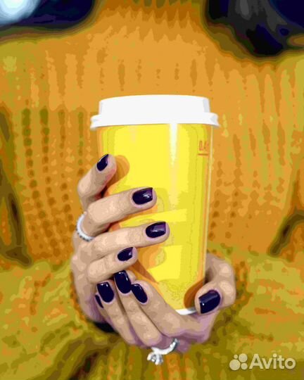 Франшиза сети быстрого питания Сеньор Денёр