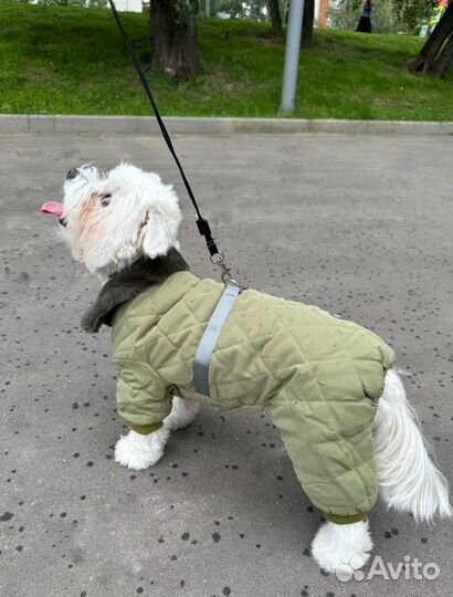 Куртка для маленькой собаки