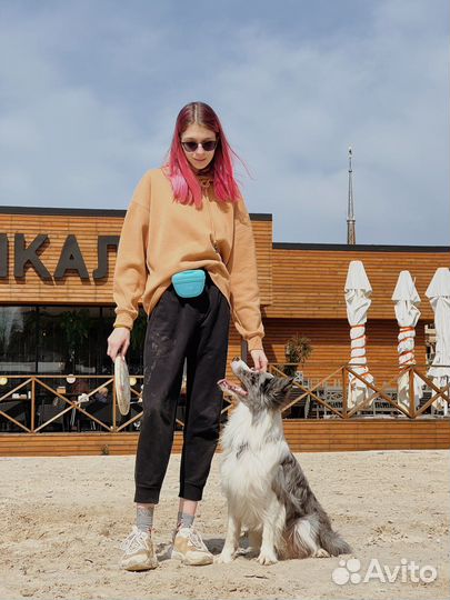 Няня для собак (догситтер)