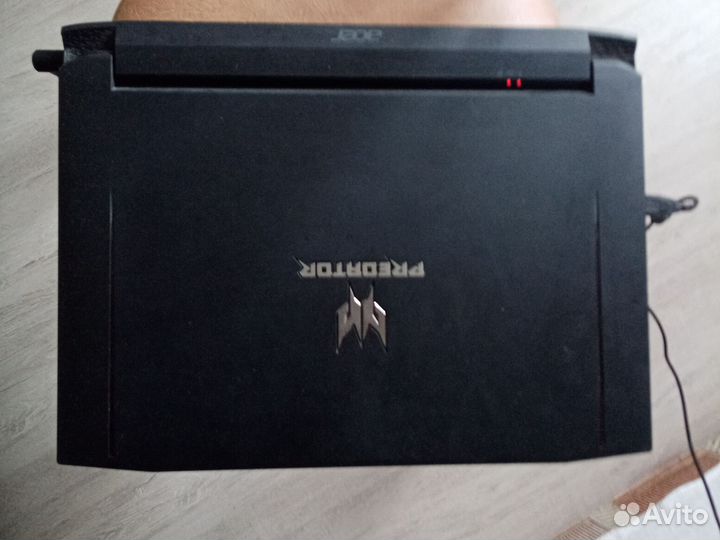 Acer predator
