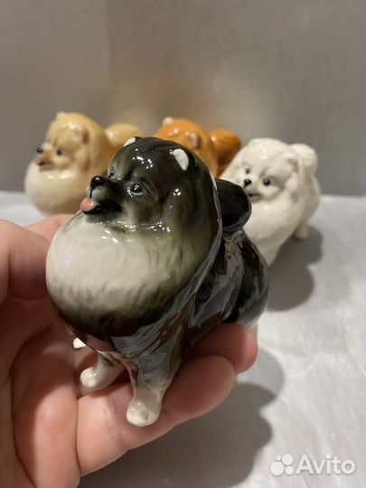 Шпиц фарфоровые статуэтки Сувениры