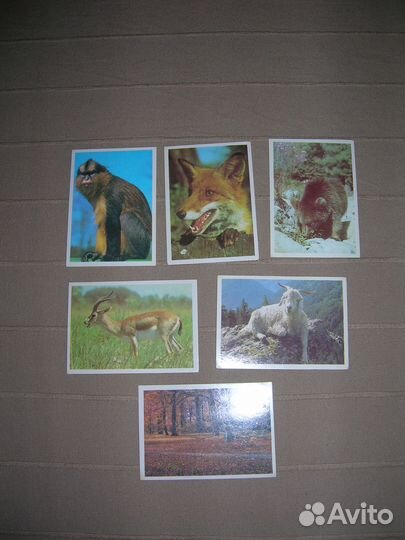 Календари карманные