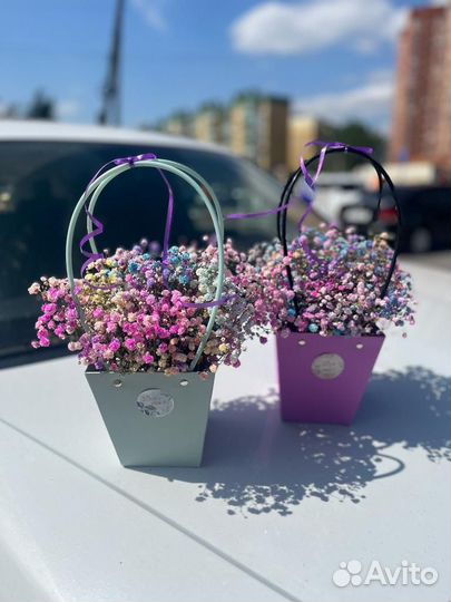 Гипсофила в корзине