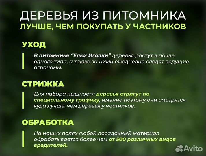 Крупномеры Туя Смарагд 3 м