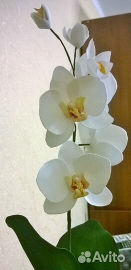 Орхидея