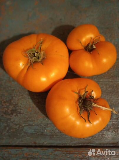 Семена томатов (помидор)