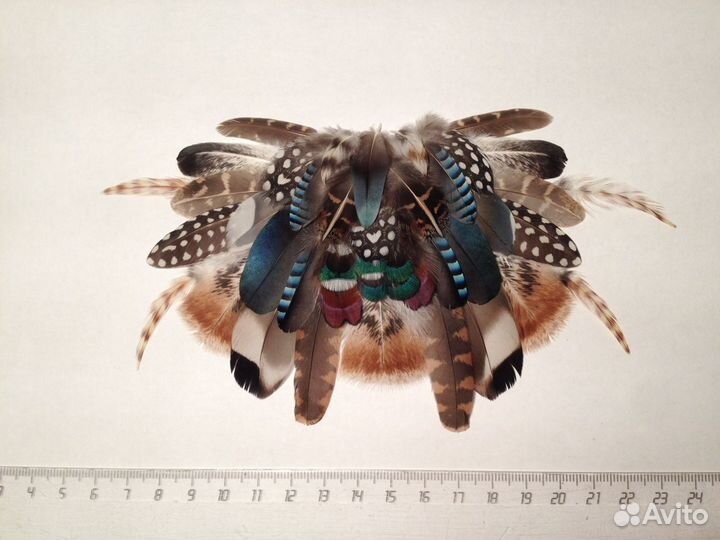 Перо для творчества