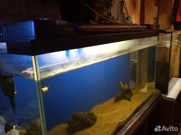 Аквариум
