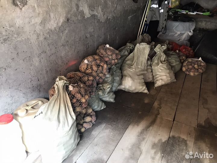 Картофель деревенский