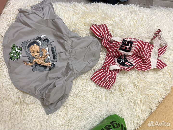 Костюм на собаку