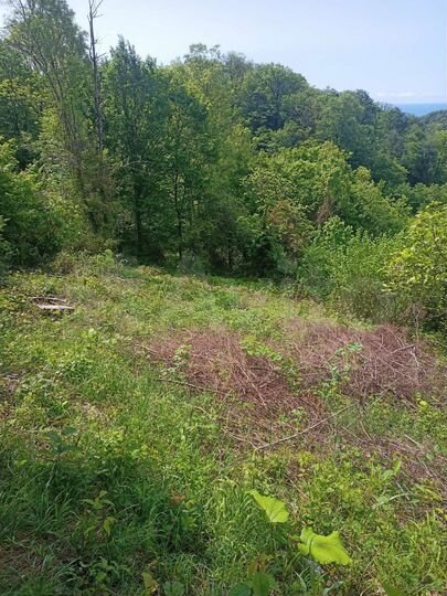 Участок 7,1 сот. (ИЖС)