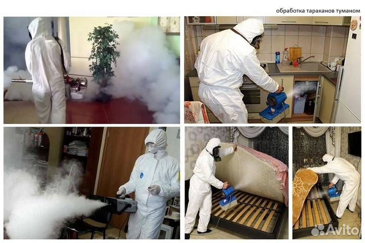 Уничтожение клопов и тараканов дезинфекция