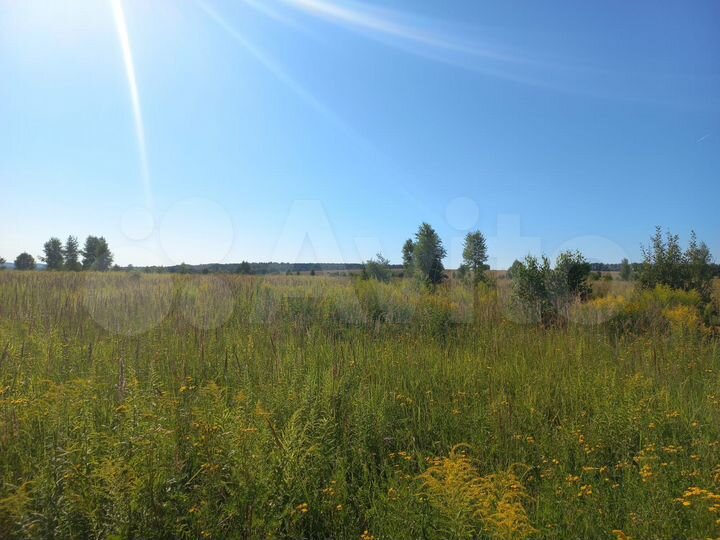 Участок 55,35 га (СНТ, ДНП)