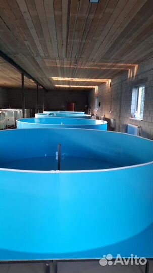 Бассейны для разведения рыбы